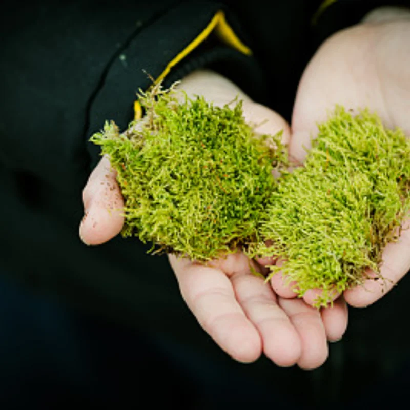 

Алюминиевый портальный центральный корпус коробки передач для гоночного автомобиля Redcat Gen8 Scout II 1/10