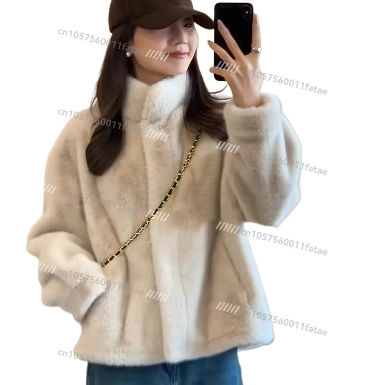 Winter Fur Integrated Fur Velvet Stand-up Collar Wool Coat Women's Young Leather Short Model