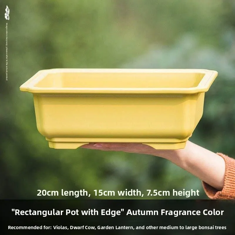 Water Absorbing Stone Tray Plastic Rectangular Potted Plant Simulation Mountain Flower Pot Tray Landscape Garden Decorations
