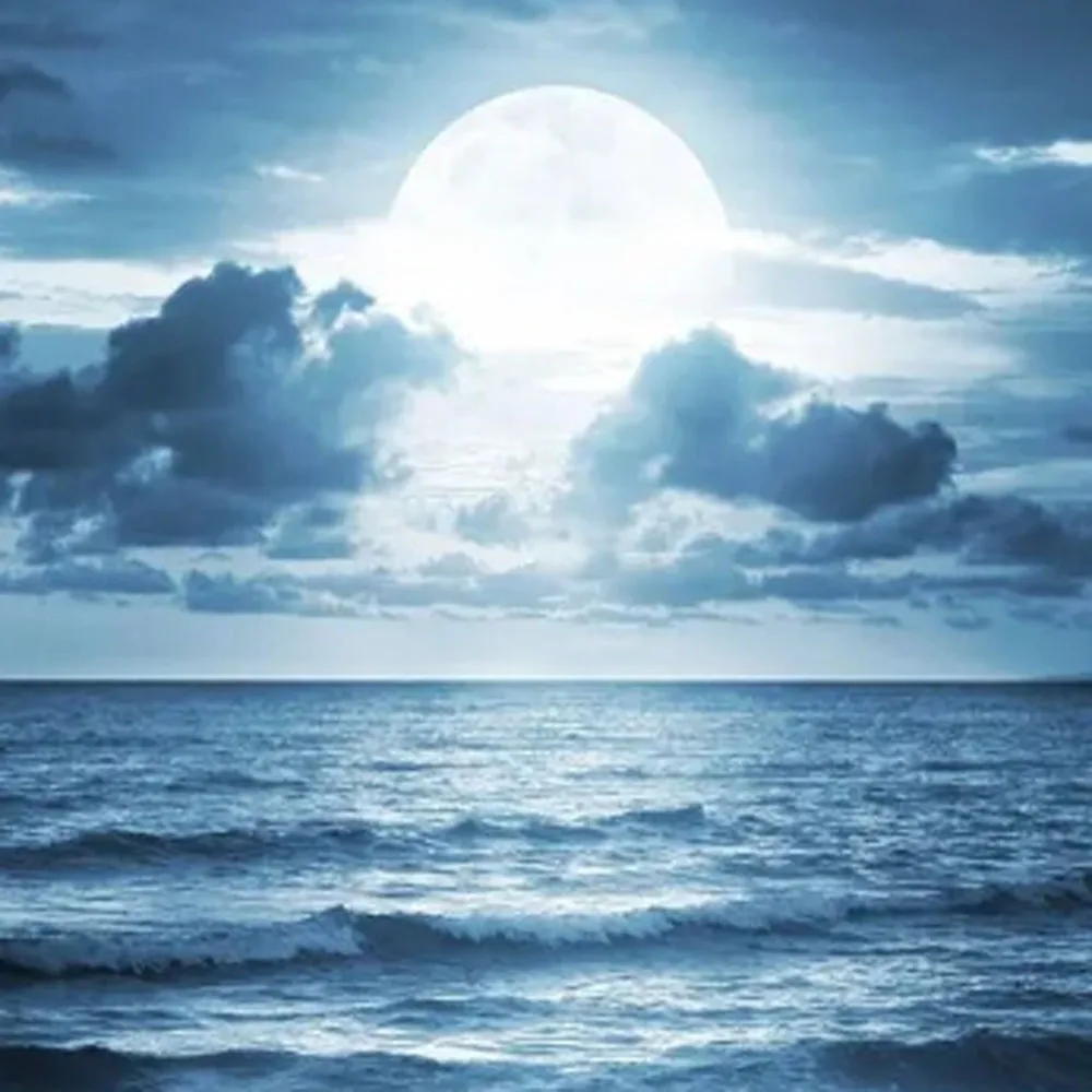 

7colors SS2 Permanent chip for Mimaki JV3 JV33 JV5 CJV30 TPC1000 TS3 TS34 TS5 printer Ink model SS2 Auto Reset