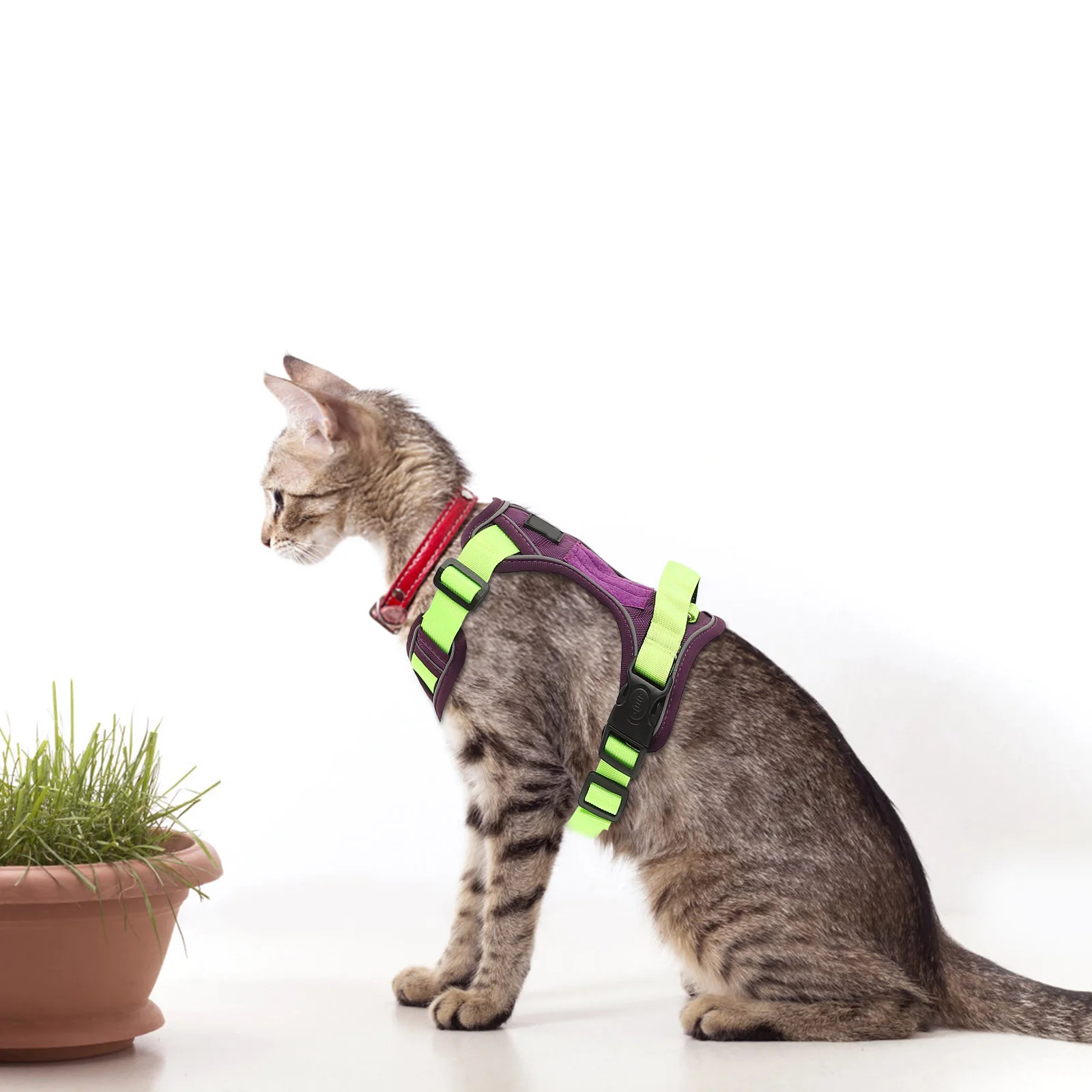 

Pet Dog Harness Adjustable Puppy Vest Durable Safe Thickened Lock Buckle for Small and Large Dogs Comfortable Fit