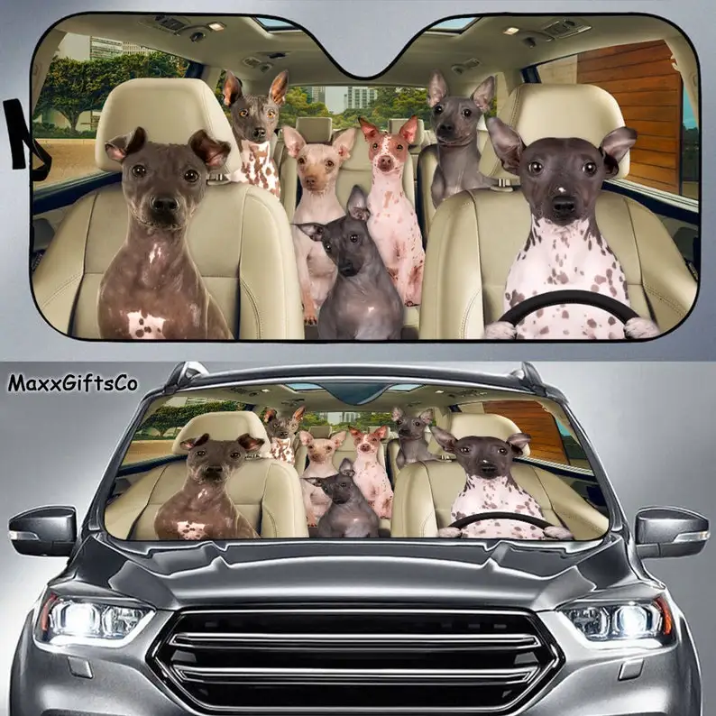 

American Hairless Terrier Car Sun Shade, Dogs Windshield, Dogs Family Sunshade, Dog Car Accessories, Car Decoration, Gift For Da