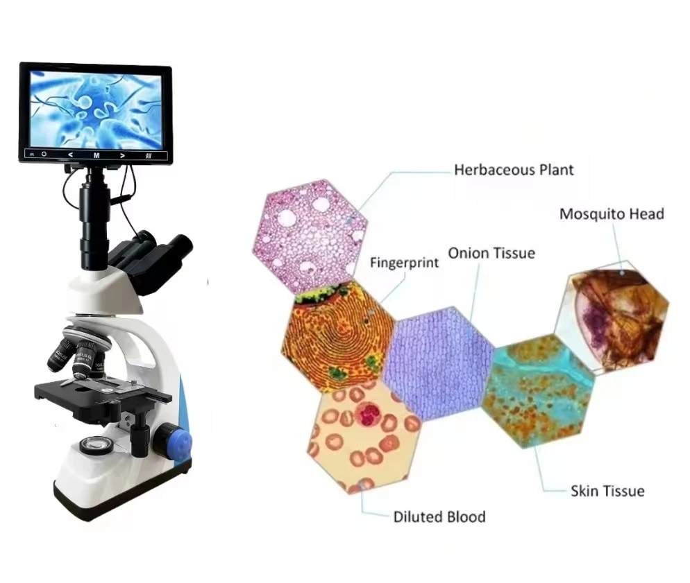 

XSP-506V Biological Optical Microscope with 7 Inch Display Screen Trinocular Digital Microscope