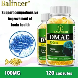 DMAE Capsules - Brain Health Supplement - Helps Improve Memory and Concentration, Promotes Mental Clarity, and Relieves Stress