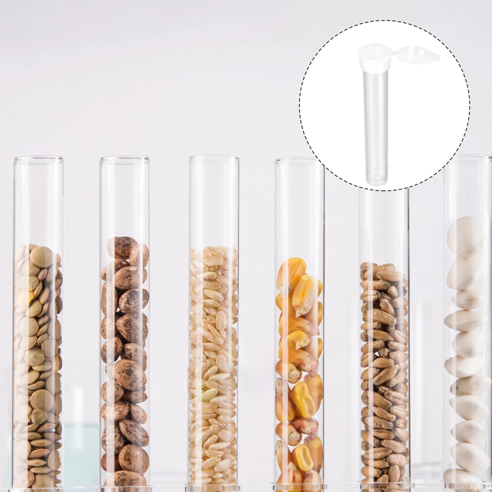 

Clear Container with Lid Test Tube Bottle Tubes Plant Gold Powder Transparent Plastic