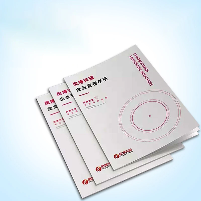 Custom. Professionele Aangepaste Gevouwen Folder Afdrukken Promotie Map Zak