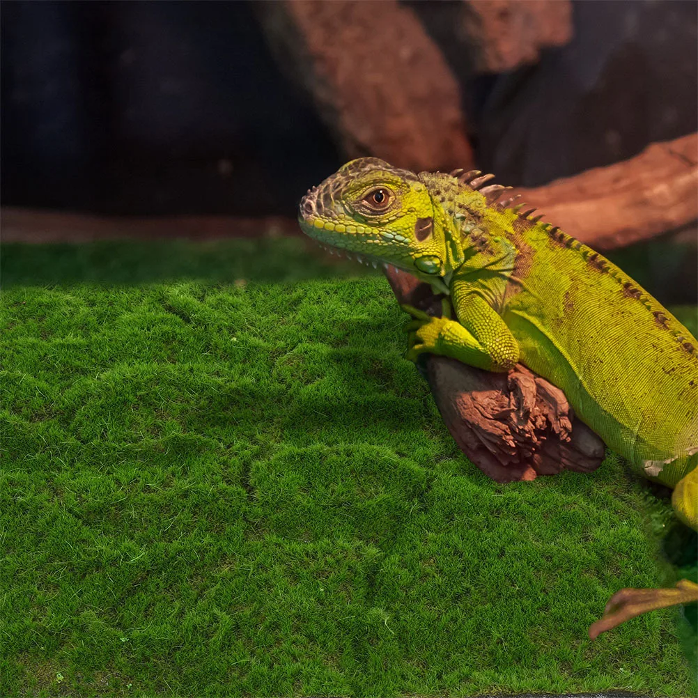 قطعتان من وسادة الطحلب الاصطناعية العشب الأخضر النابض بالحياة لفناء الحديقة سهلة التركيب وخفيفة الوزن ومحمولة وآمنة ومريحة للديكور #4