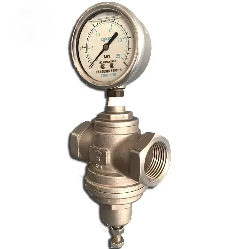 2026 API Factory DIN Hot Sell Direct Back Pressure Valve SS Flange Threaded for Water Oil