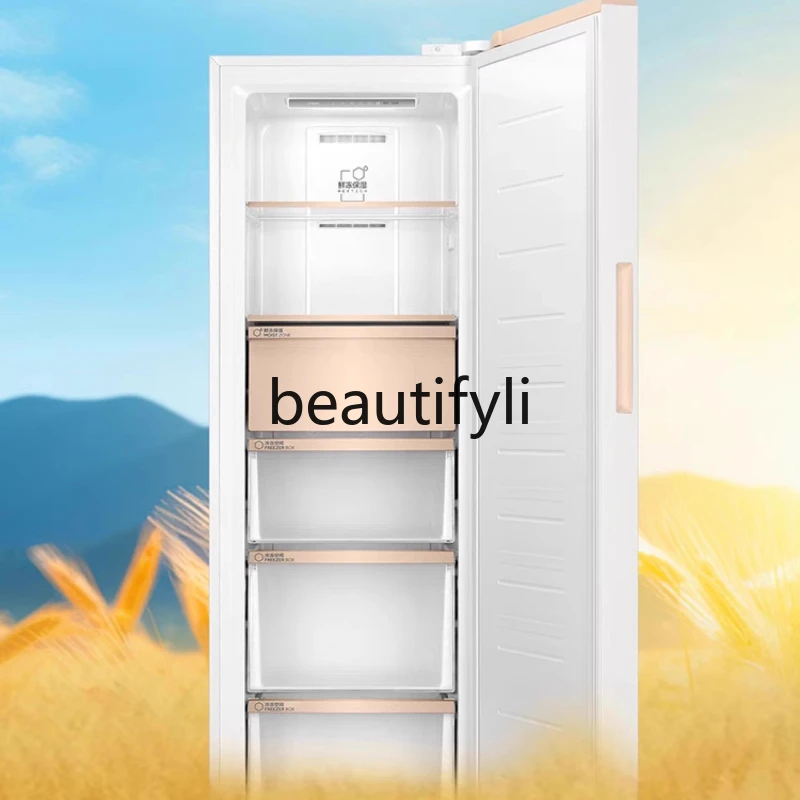 Upright Freezer 210/180 Liters Frost-Free Household Freezer -30 ℃ Deep Freezer with Dual Variable Frequency