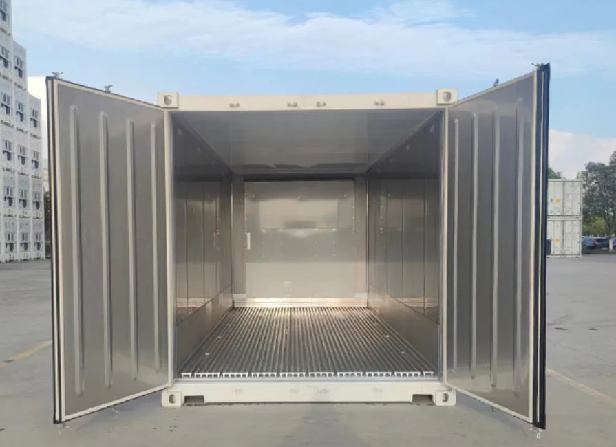 Contenitore per congelatore walk-in per sala di conservazione frigorifera da 20 piedi con nuovissima unità di sistema di refrigerazione Thermo King Carrier negli Stati Uniti