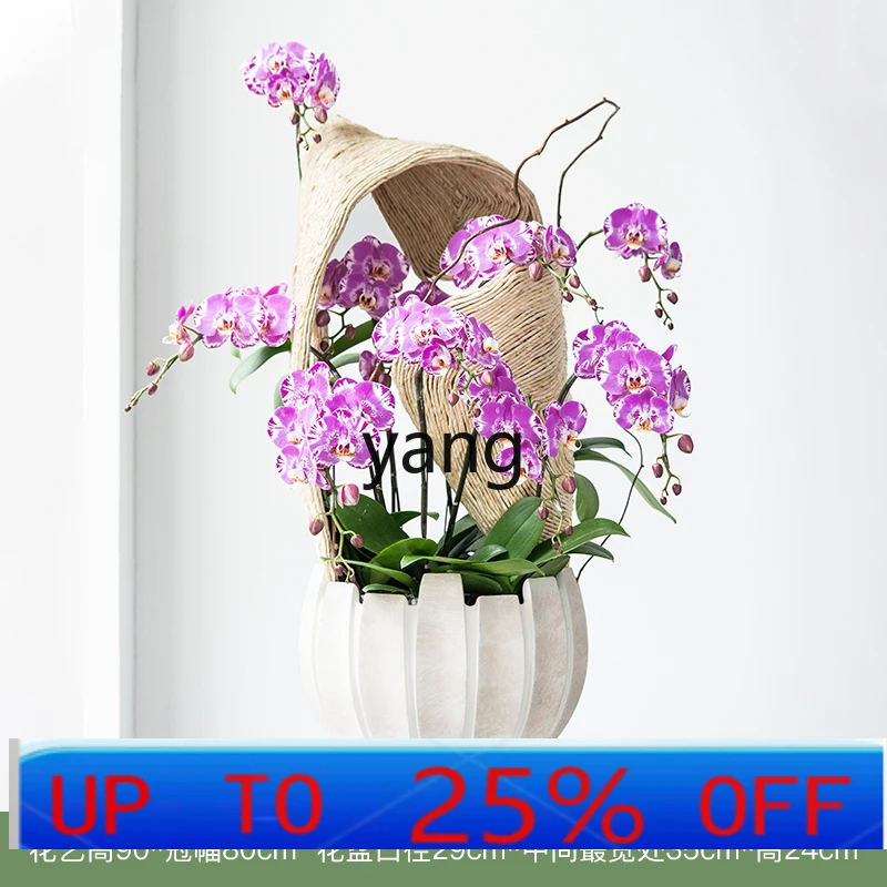 

LTT simulated green plant desktop simulated flower fake flower bonsai plant interior decoration ornament
