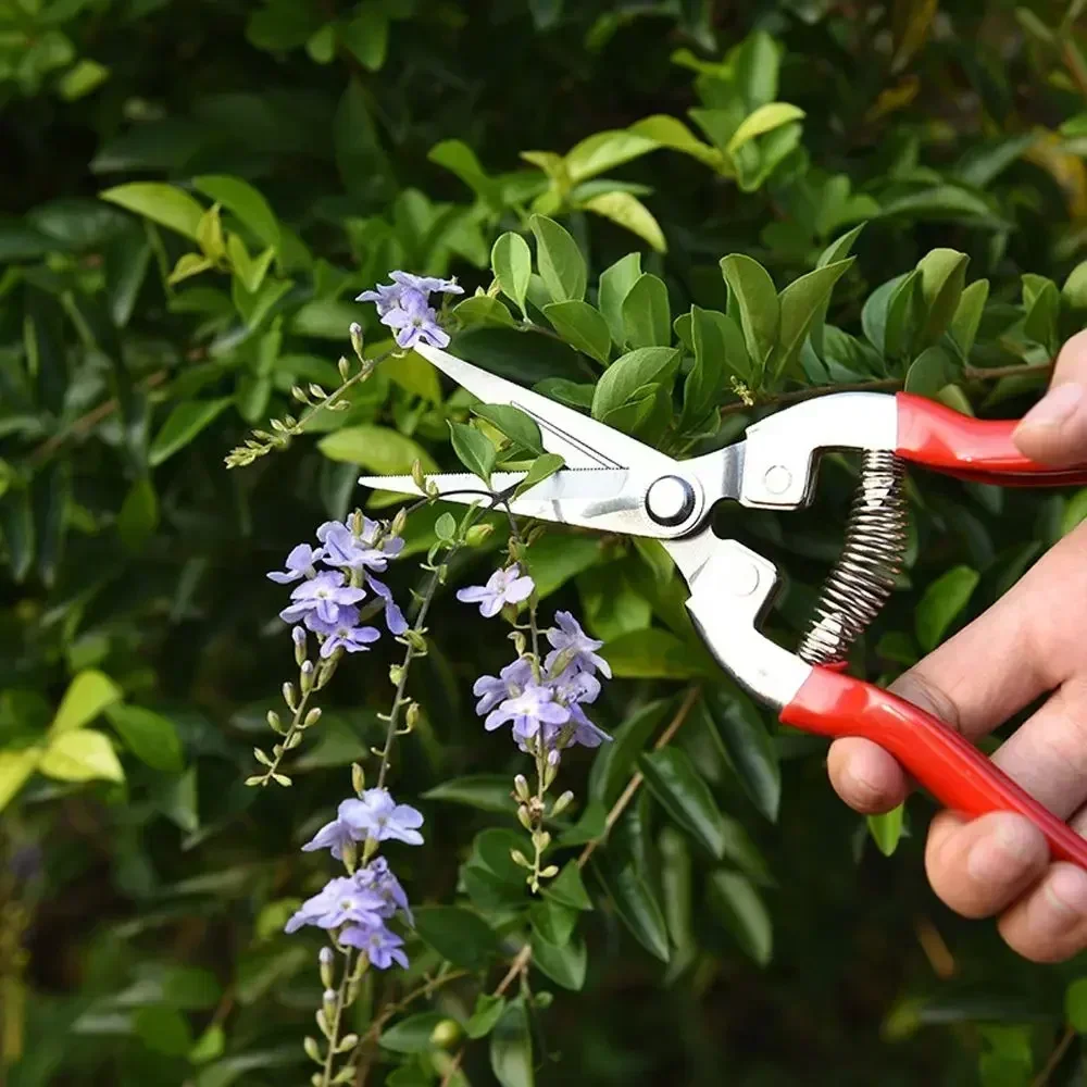 Poda Pruner jardim, tesoura, folha ferramenta aparador reto, Scissor Snips, Micro-Tip Plant, Anti-Slip tesouras de poda