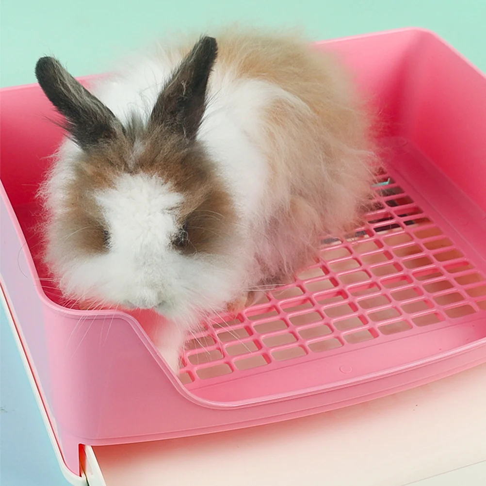 صندوق نفايات خنزير غينيا البلاستيكي الآمن، تصميم للتحكم في الرائحة، مناسب للمنزل، صندوق نفايات أرنب، قعادة خنزير غينيا