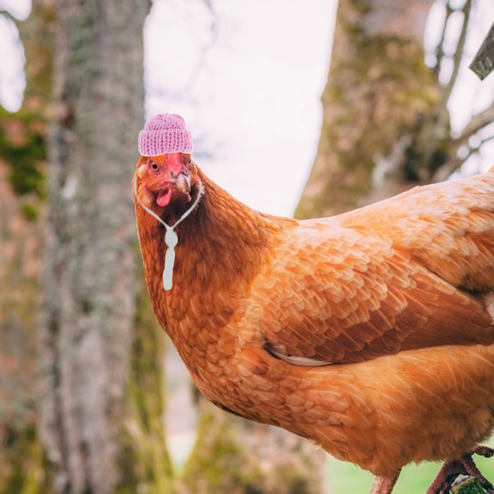 

10Pcs Mini Hat Adornments Pet Chicken Hat Decors Knitting Wool Yarn Safe Comfortable Stylish Look for Holiday Gathering