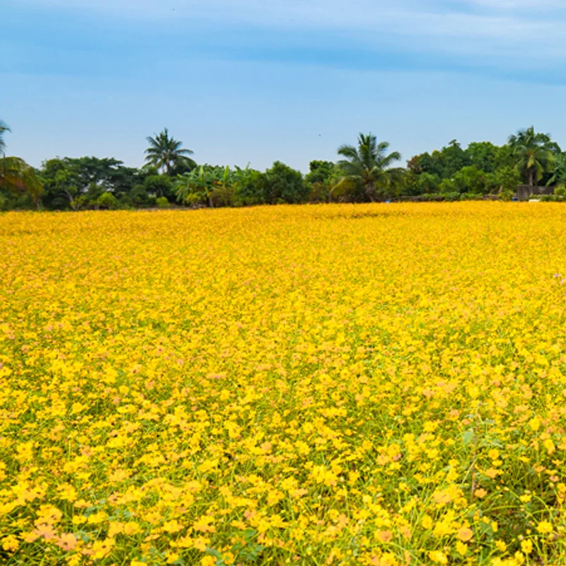 здание цвек Только для друзей~ здание цвек Только для друзей~