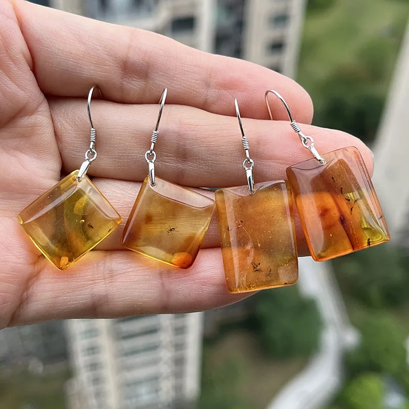 Insect Amber Earrings for Women S925 Silver Unique Drop Ear Gift Baltic Stone 2026 New Genuine Bugs Amber Jewelry Supplier 2