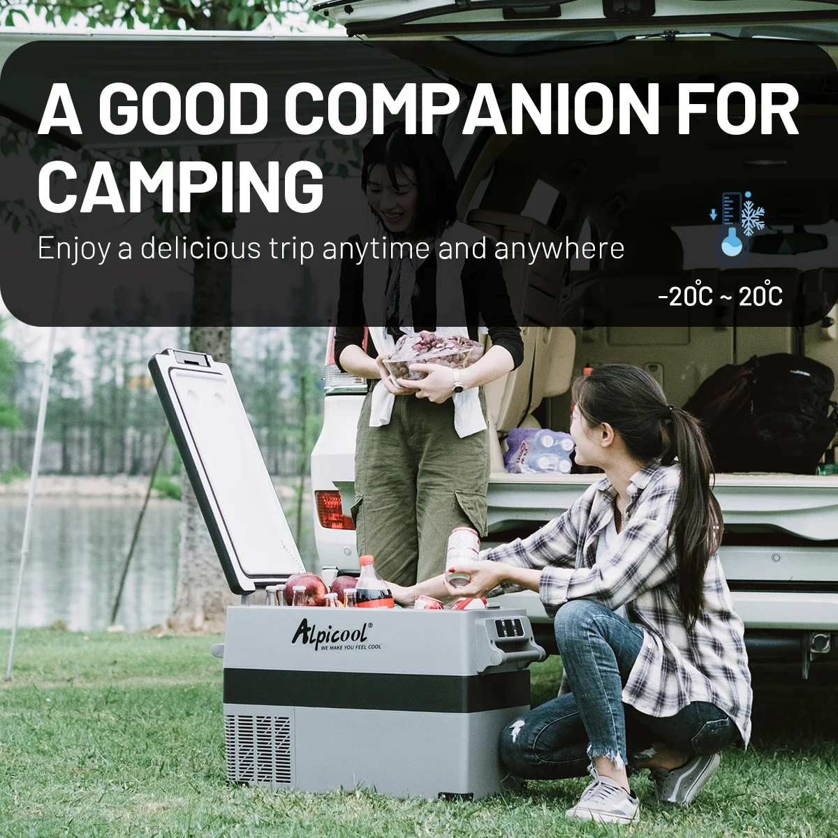 Portable Compressor Car Fridge 12v 24v DC Camping Electric Car Refrigerator