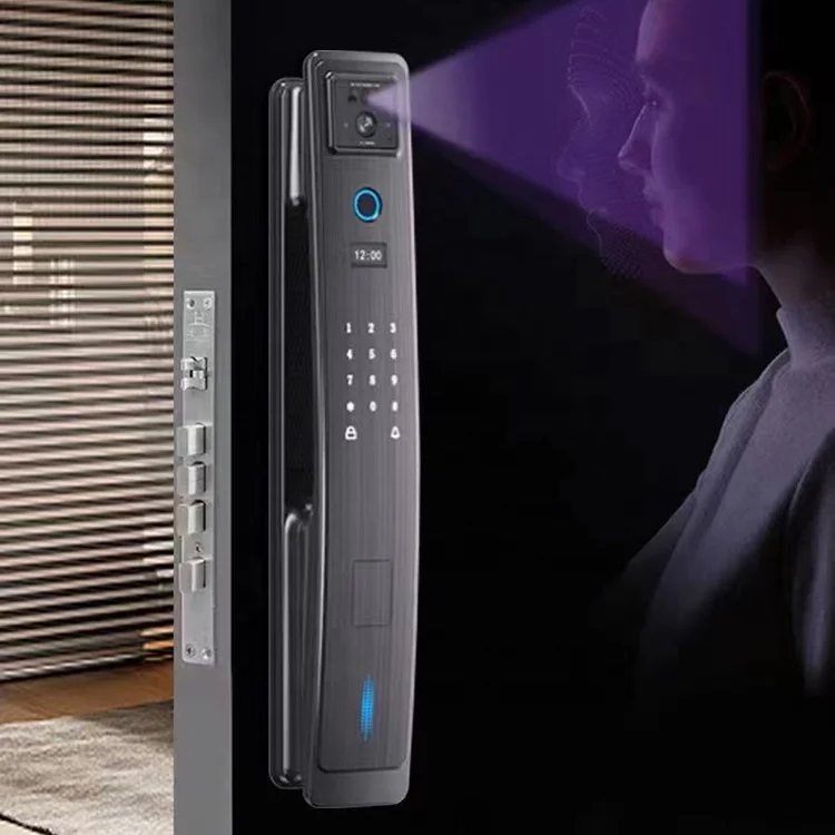 Face Recognition Digital Door Lock Wifi Remote Control Full-automatic Smart Door Lock with Camera