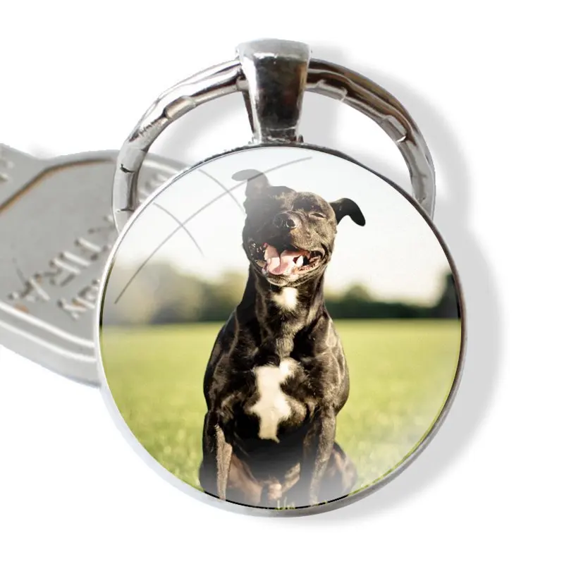 Pit Bull Lovely Pet Dog Pitbull Keychain Handmade Glass Cabochon Key Ring Holder Pendant Key Chains