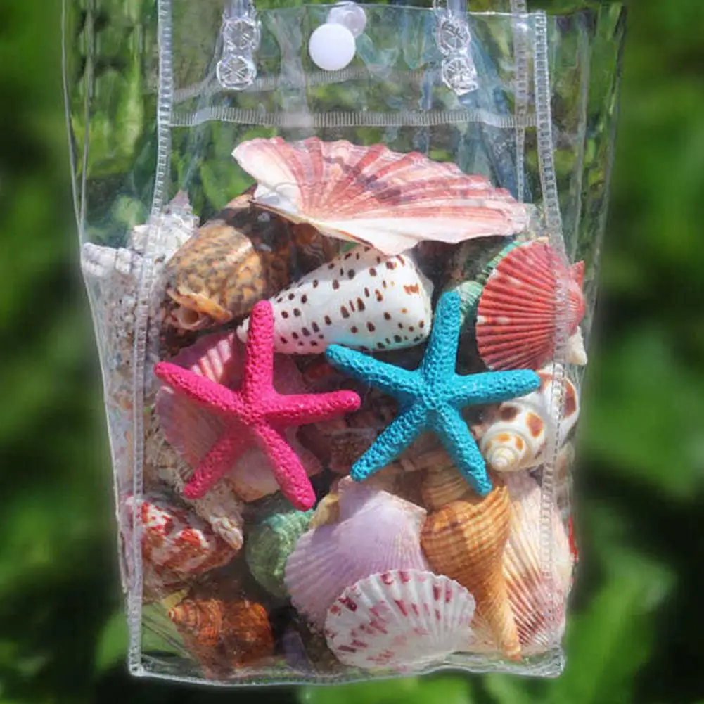 Assorted Seashells for Diy Projects Mixed Shell Set for Crafts Assorted Natural Seashells Set for Diy Crafts Beach Theme Party