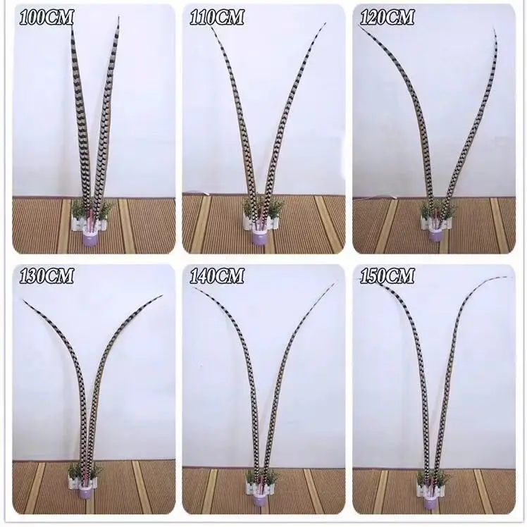 Opera Feathers Natural Pheasant Feathers Mu Guiying Wild Pheasant  Sun Wukong Purple Gold Crown Accessories