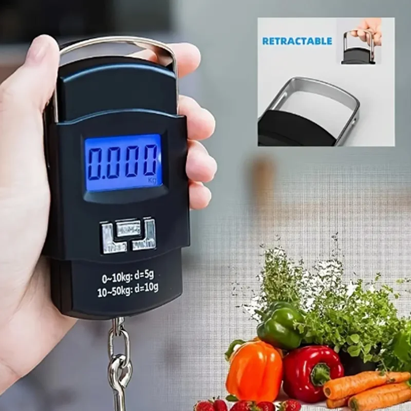 55kg/10g  Electronic Digital Scale Hanging Hook Fishing Travel Double Precision Luggage Weight Scale Balance Scales