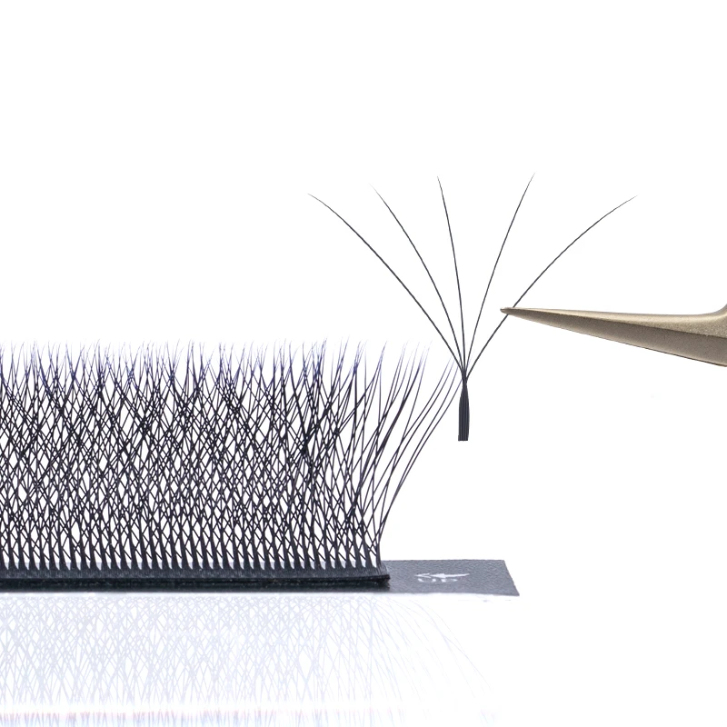 Damman 5 scatole 5D W Forma Estensione ciglia 12 file 5D W Ciglia a forma di 0,05 mm D Curl Estensione ciglia morbide naturali Ciglia finte