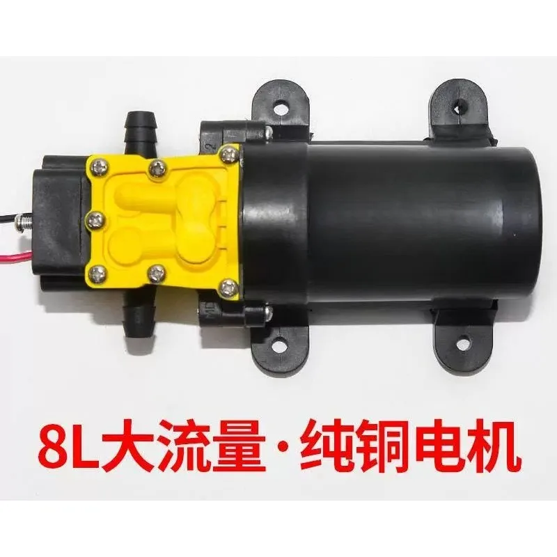 24V Mini DC Diaphragm Pump Self-Priming High Pressure for Sprayer Water