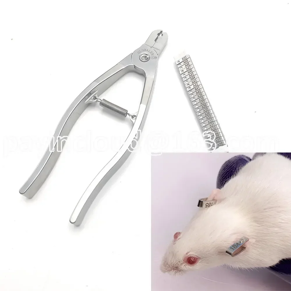 1PCS Rat Mice Hamster Mouse Ear Tag Plier 304 Stainless Steel Lab Tools Identification Clamp with Number Letter Forceps