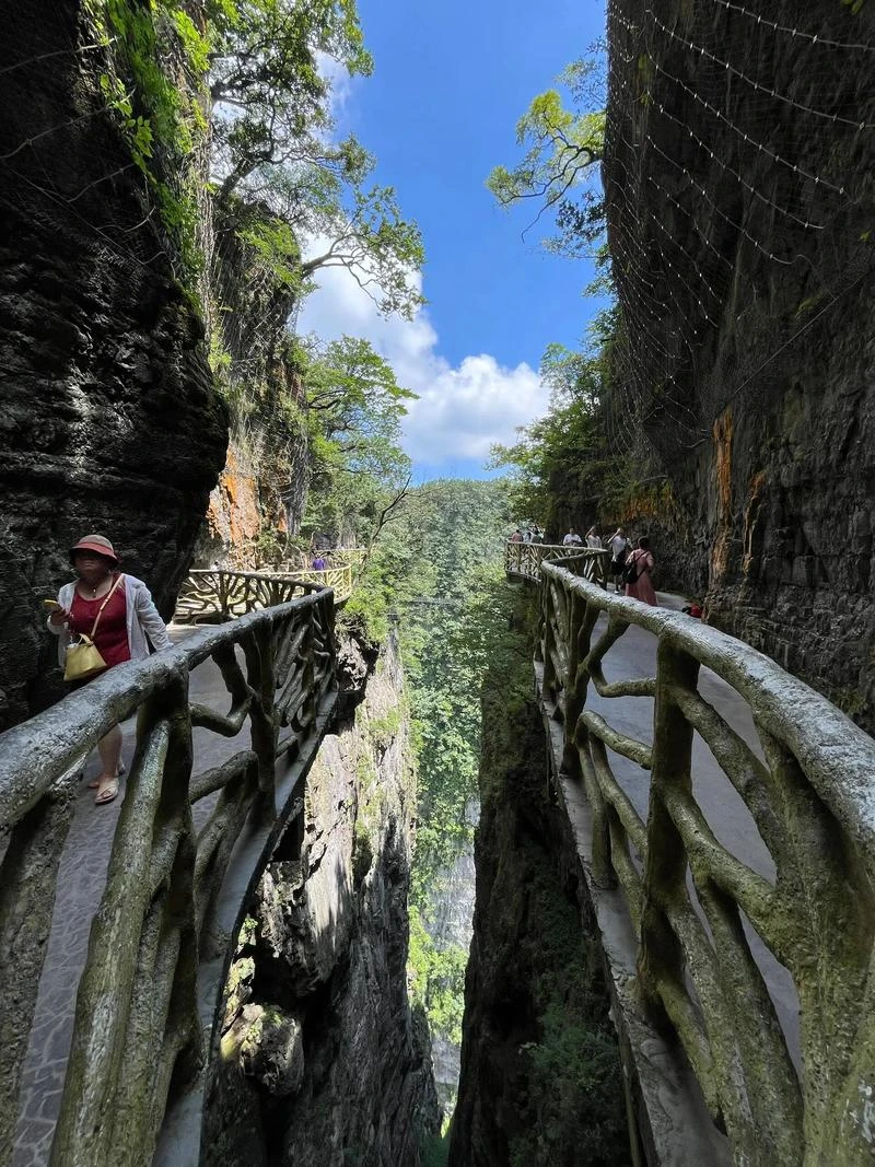 

Дымчатые черные защитные пленки для фар и задних фонарей Ford Mustang 2018-2023, прозрачные наклейки из ТПУ, аксессуары