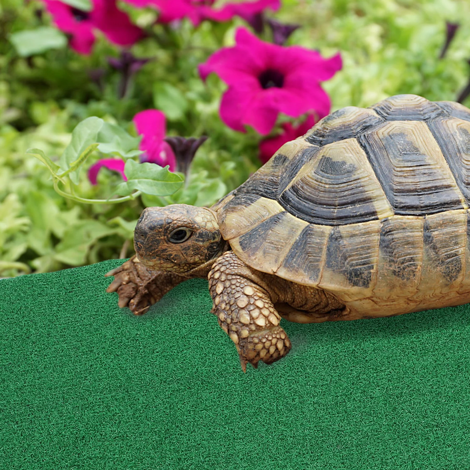 

Floating Island Turtle Basking Platform Fish Tank Ramp Artificial Grass Durable Sturdy Materials Realistic Garden Turf