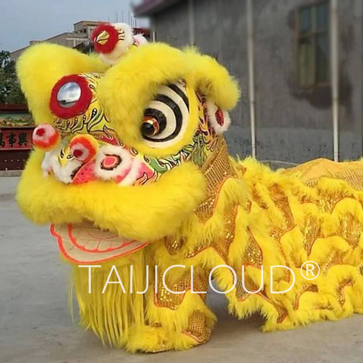 Complete Set of Lion Dance Props, South Lion Awakening, Dragon Dance Lion Clothing, Two Person Wool Clothing