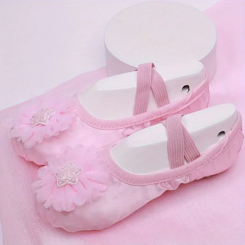 Girls Dance Shoes Practice Children\'s Ballet Dance Shoes Stage Performance Shoes