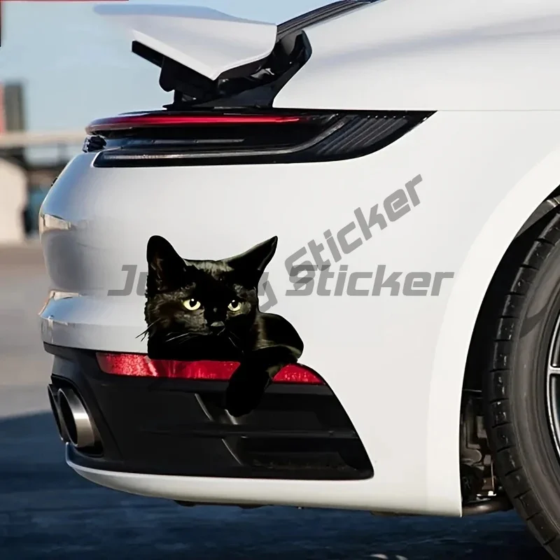 

Cute Black Cat with Shining Eyes Self-Adhesive Vinyl Decal, Used for Car Windows, Bumper, Laptops, Waterproof Exterior