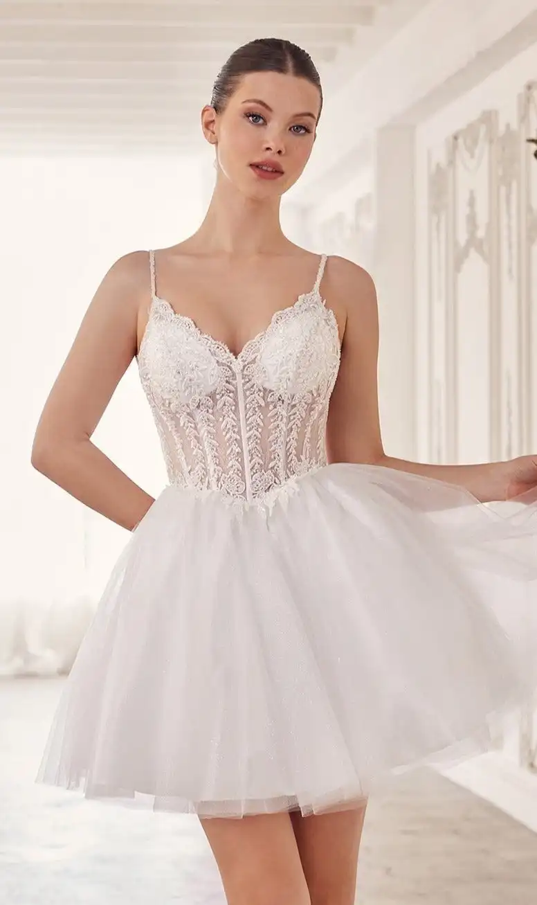 A-Line Spaghetti Strap Sweetheart Tulle Short Homecoming Dress with Lace Sleeveless Illusion Cocktail Dress Elegant