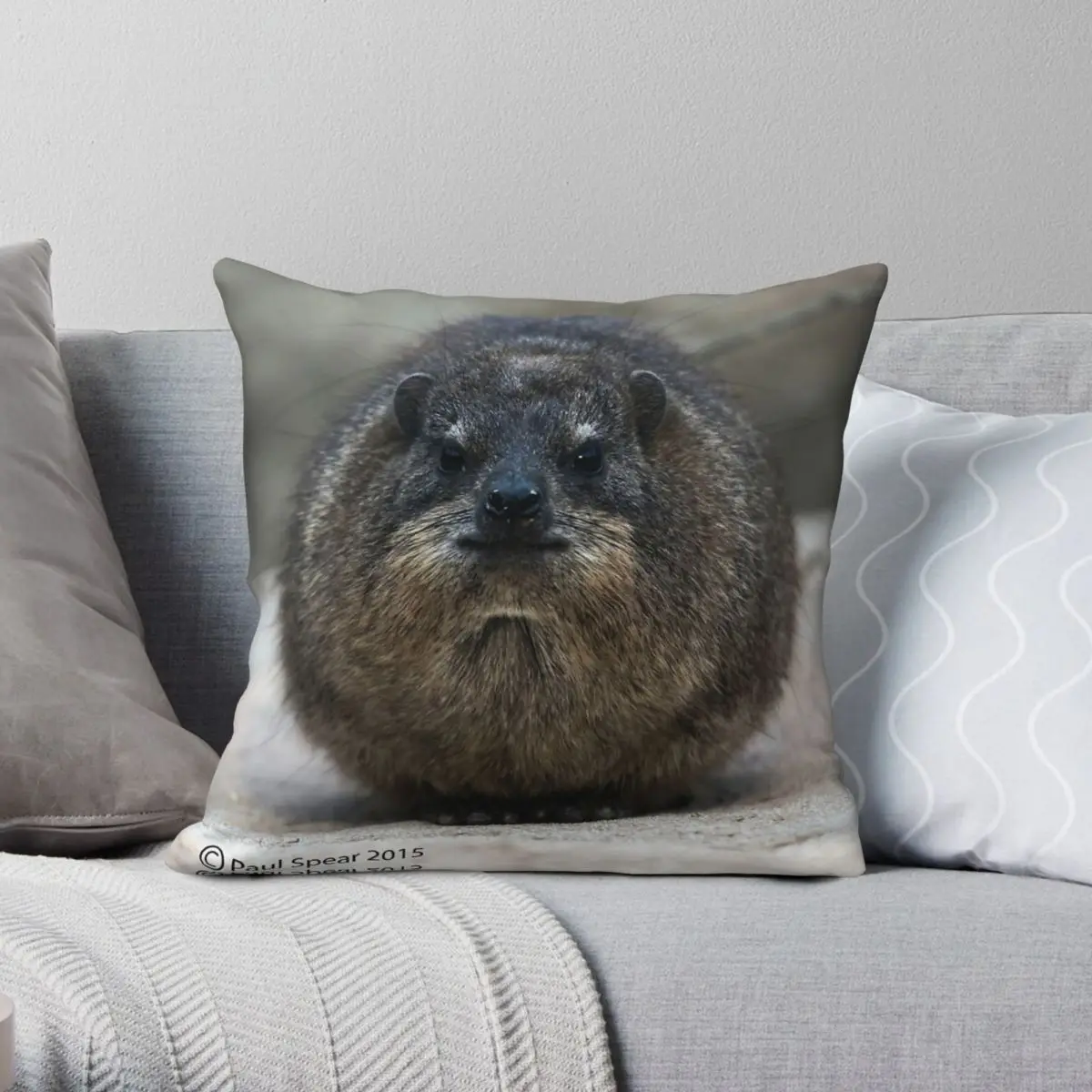 Rock Hyrax Square Pillowcase Polyester Linen Velvet Printed Zip Decor Pillow Case Bed Cushion Cover 45x45