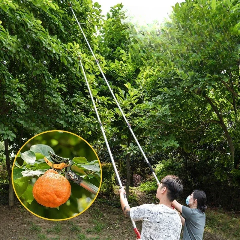 Telescopic Height Fruit Picker Gardening Tools Tree Fruit Collector Professional Picks Cutting Branch Scissors Farming Supplies