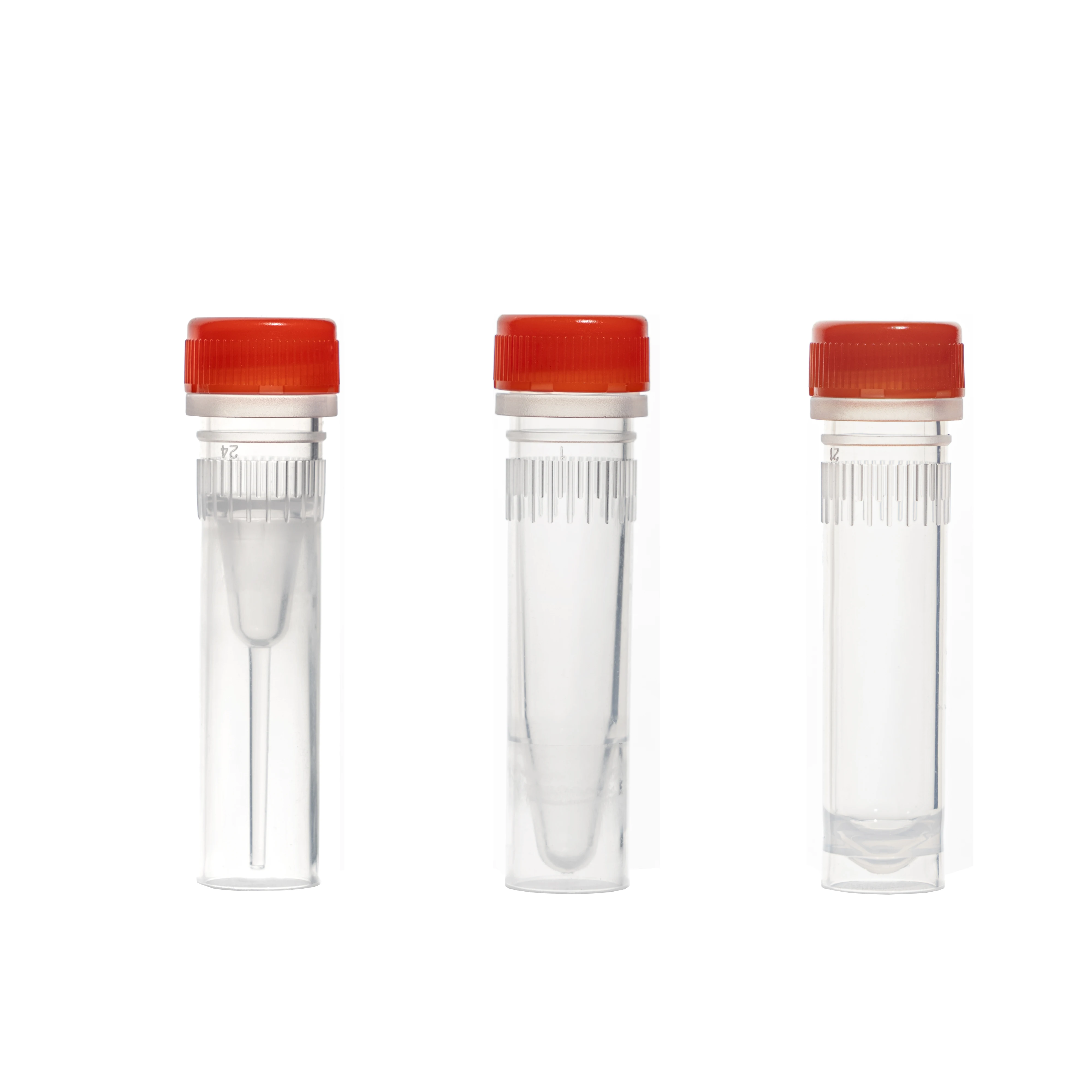 Producto de reactivos químicos anticuerpo recombinante Anti-Beta Actin Rabbit MAb