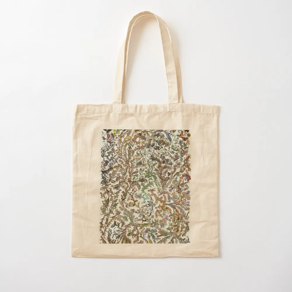 

Tree of Life Poster - Animal Evolution - Colour (New Design Available) Tote Bag hand bag Eco bag tote bags aesthetic