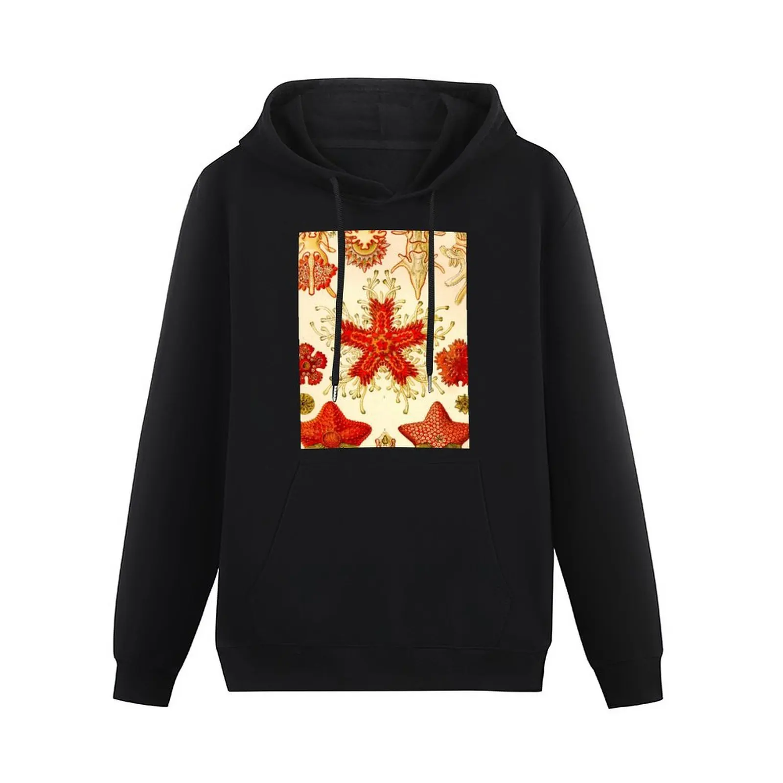 Starfish - Ernst Haeckel Pullover Hoodie autumn jacket men anime clothing new in hoodies and blouses