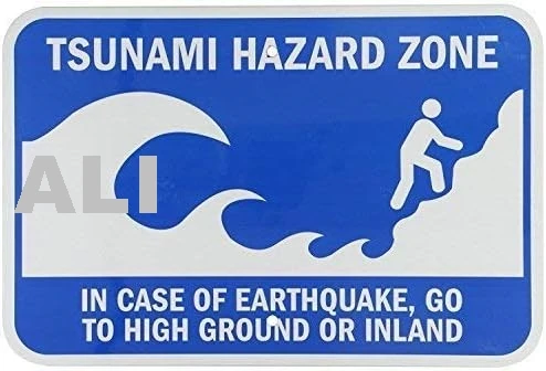 Tsunami Hazard Zone Metal Tin Sign Retro Vintage Sign for Home and Bar Wall Decor 8 x 12 Inch sign