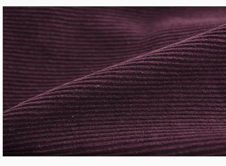 Chenille Velvet Thickened Versatile Casual Pants for Women Autumn Winter New Loose Spliced Harem Pants Female Solid Warm Trouser