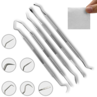 Gun Stainless Steel Pick Gun Cleaning Kit with 2\