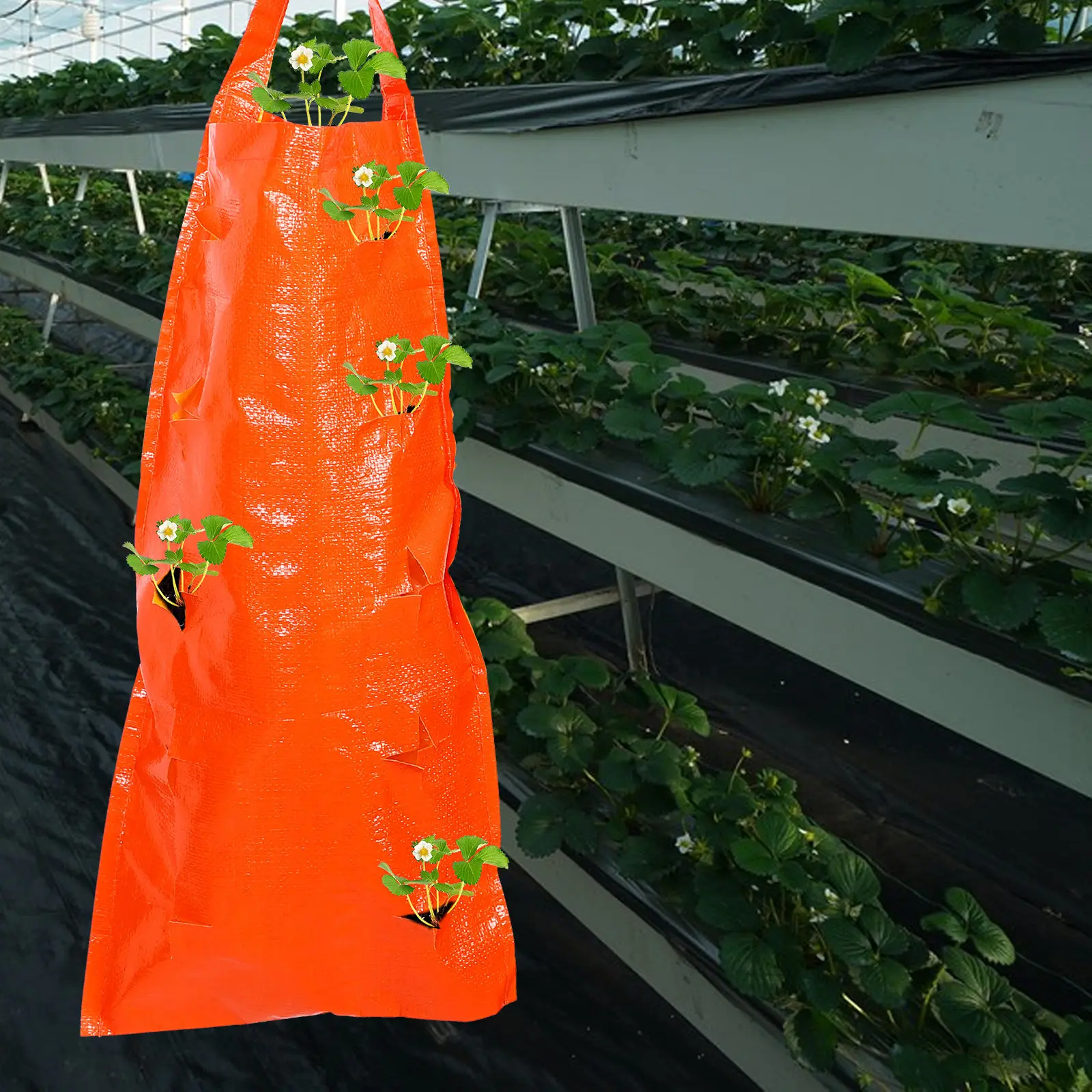 Hanging Strawberry Planter Bag Breathable Plant Growing Pouch for Outdoor Garden Deck Patio Vertical Multi-Pocket Nursery