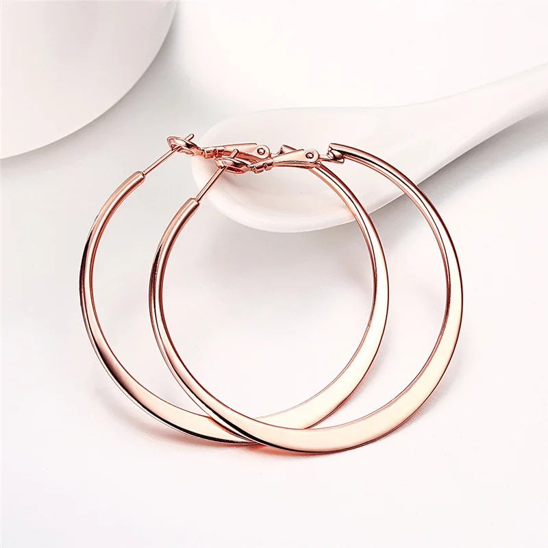 Big Hoop Earrings For Girlfriend Rose Gold Color Black Color Stainless Steel Gold Color Earrings For Women 3 4 5 6 Cm Diameter