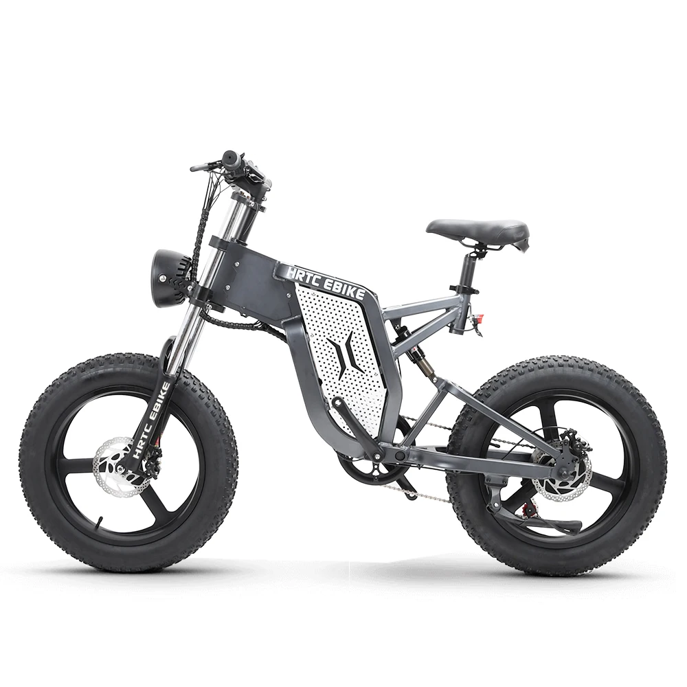 20 inch mountain electric bike 48v high speed motor 25ah Stealth lithium battery long life scooter fat snow tire electric ebike