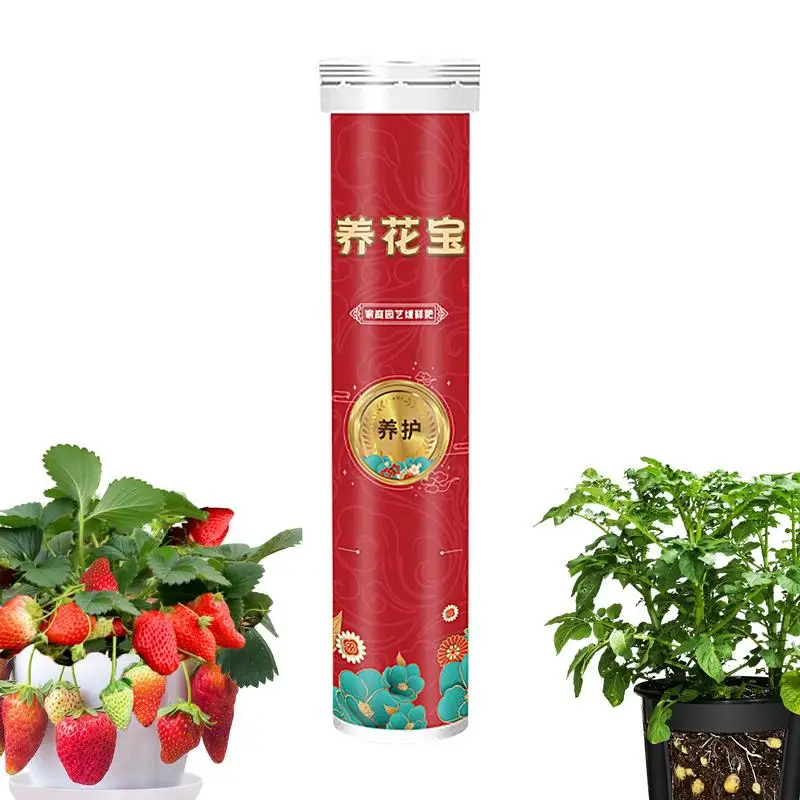 Slow Release Fertilizer For Indoor Plants Organic Slow Release Fruit Tree Fertilizer 22 Tablets Plant Food For Flower