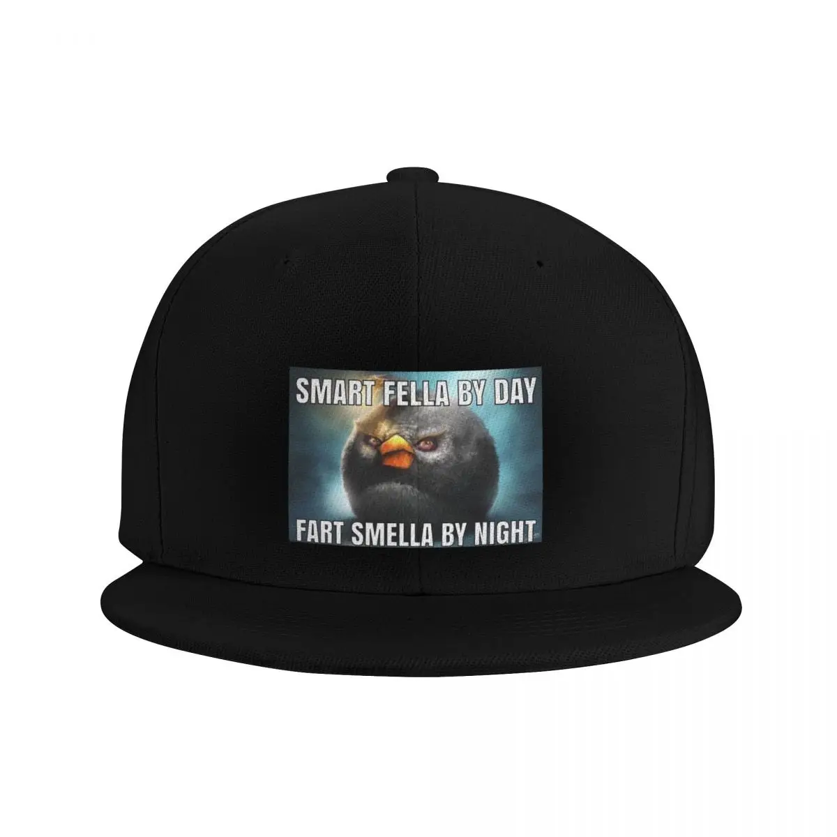 smart fella by day fart smella by night Baseball Cap Brand Man cap Anime Mens Caps Women's