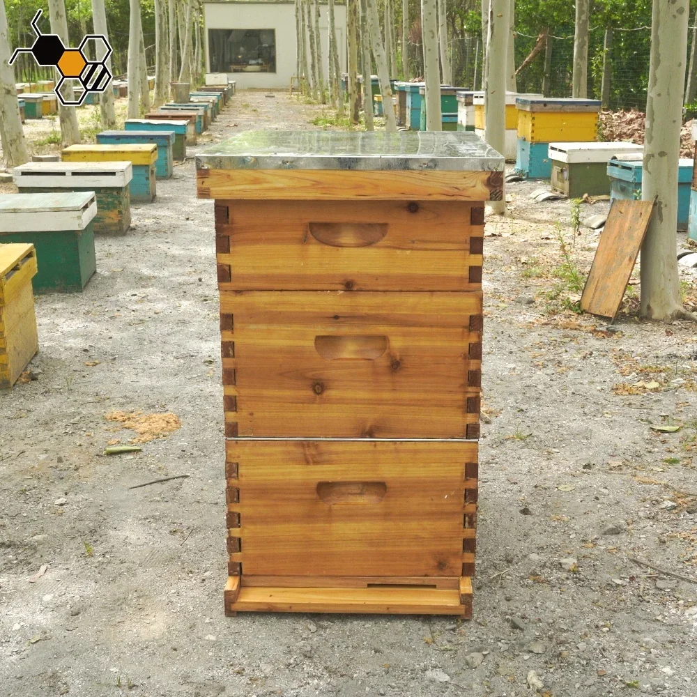 Commercial Langstroth Three Tier Waxed Beehive Set 10 Frame Wax Dipped Unassembled Bee Hive