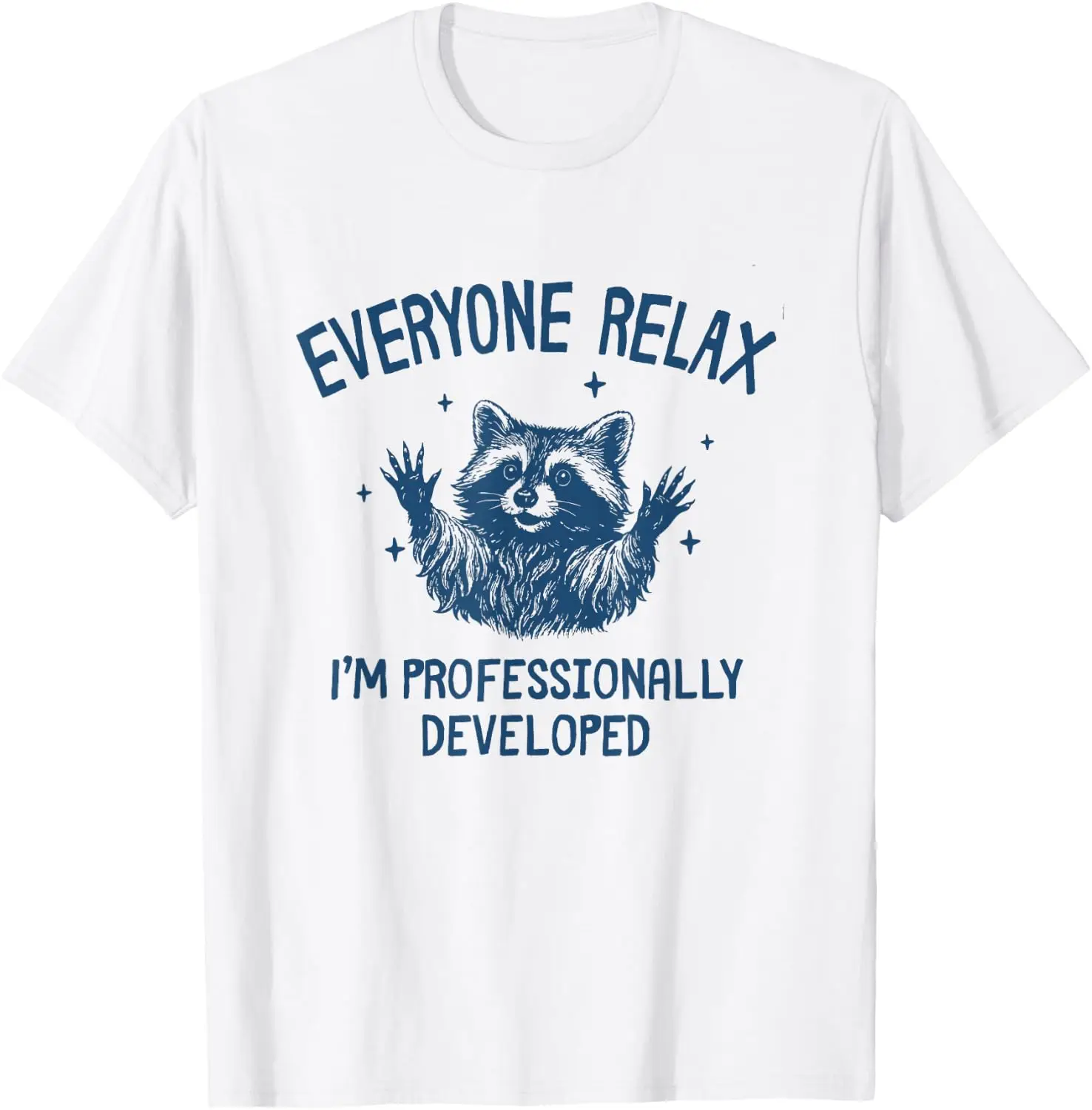 Funny Raccoon 